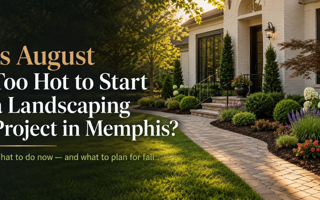 Finished Memphis residential landscape in August with a healthy lawn, shrubs, planting beds, and a paver walkway