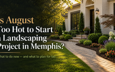 Is August Too Hot to Start a Landscaping Project in Memphis?
