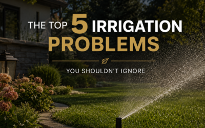 Irrigation Repair in Memphis: 5 June Warning Signs Homeowners Should Not Ignore