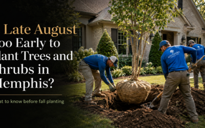 Is Late August Too Early to Plant Trees and Shrubs in Memphis?