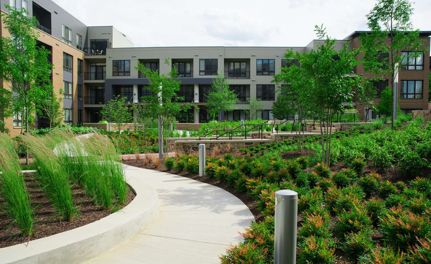 commercial-section-ferns Commercial landscape maintenance for a managed Memphis-area property with walkways, shrubs, trees, and clean planting beds.