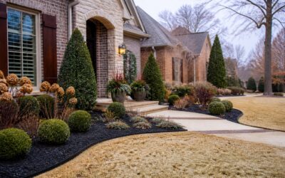 How To Prepare Your Memphis Landscape for Winter